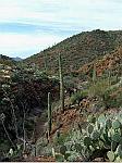 Sonoran Desert North of Phoenix