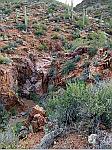 The Sonoran Desert North of Phoenix